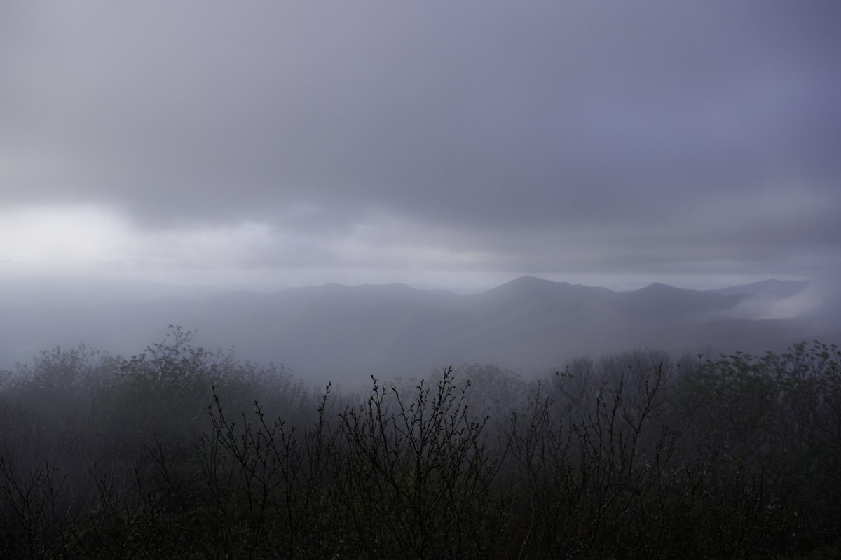 Misty mountain landscape receding into fog, suggesting vast emptiness